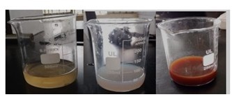 (a) Boiled leaves of Guava, (b) Aqueous AgNO3 solution, (c) Guava and AgNPs after 5 minutes